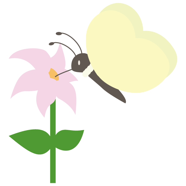 蜜を吸うチョウチョ