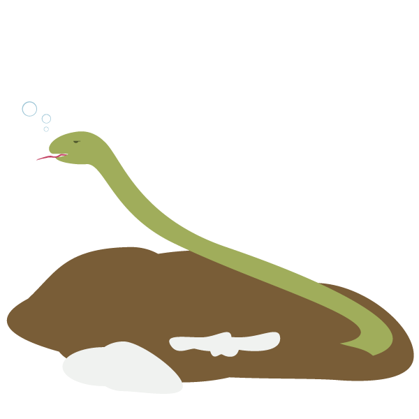 冬眠明けのへび