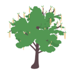 榛の木