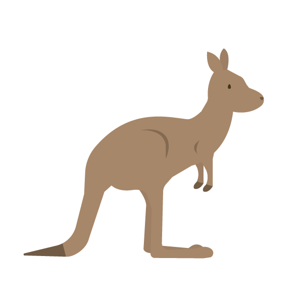 カンガルー
