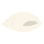 白い巻貝