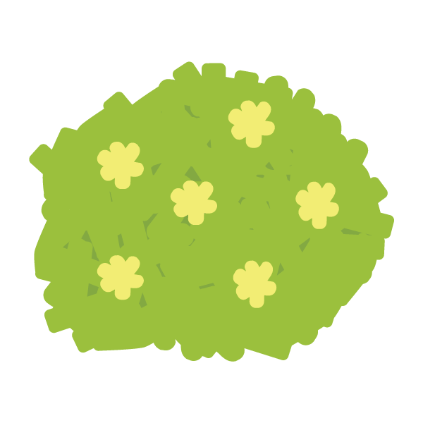 練りきり”菜の花”