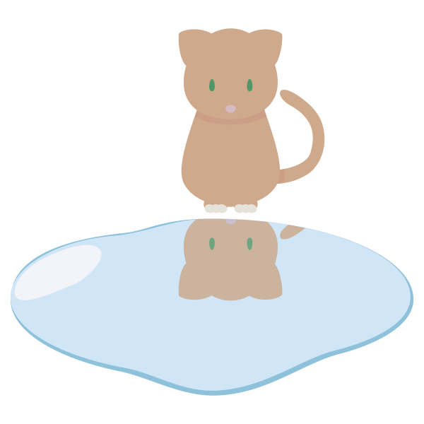 水たまりに映る自分を見ているねこ