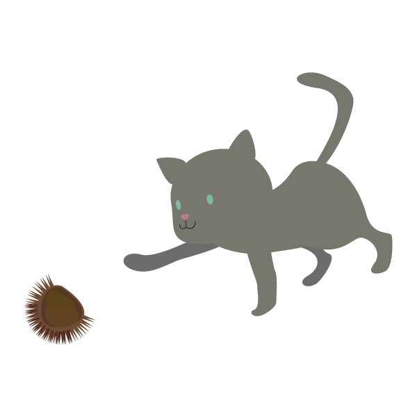 栗をつつこうとしている猫