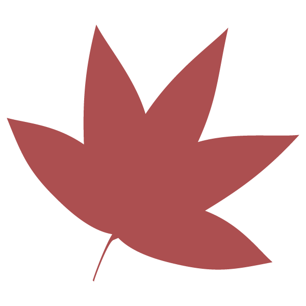 赤色に色づいた紅葉