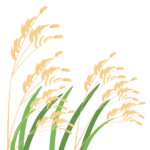 稲穂