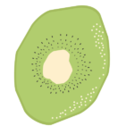 ドライフルーツ（キウイ）