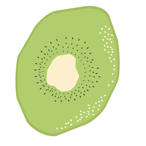 ドライフルーツ（キウイ）