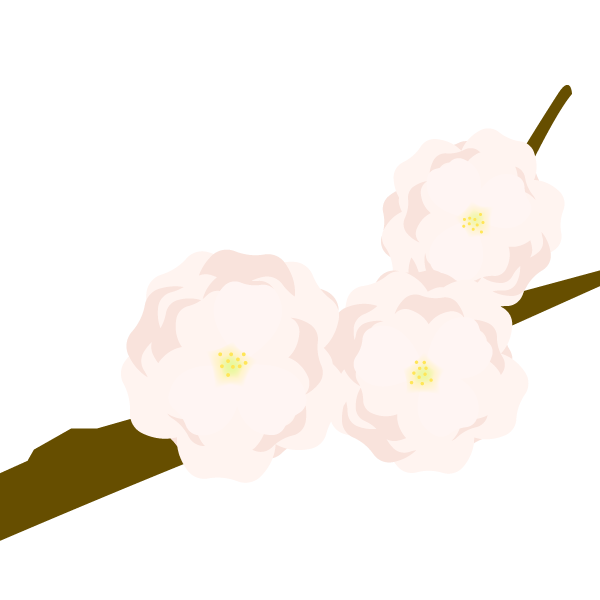 八重桜
