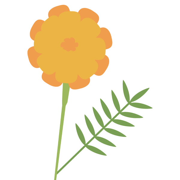 マリーゴールド