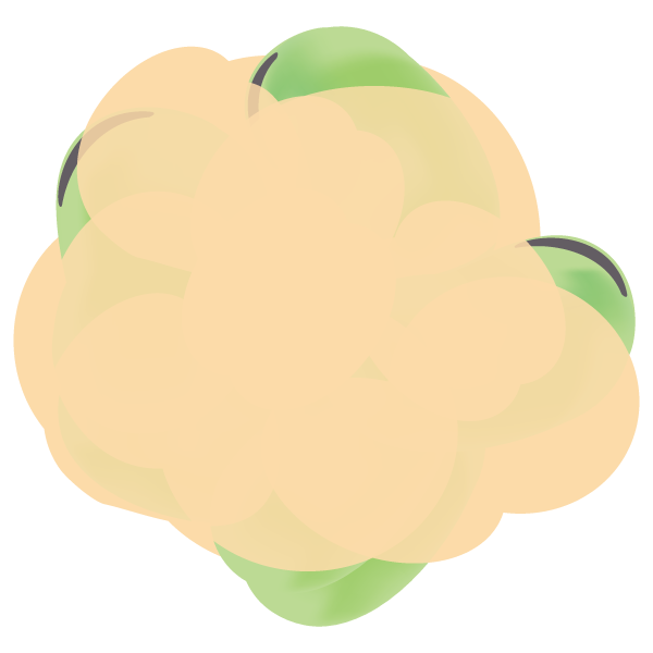 そら豆の天ぷら