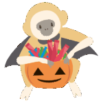 お菓子を貰う子供のテナガザル