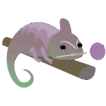 飴をくわえるカメレオン