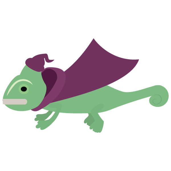 カメレオンの魔法使い