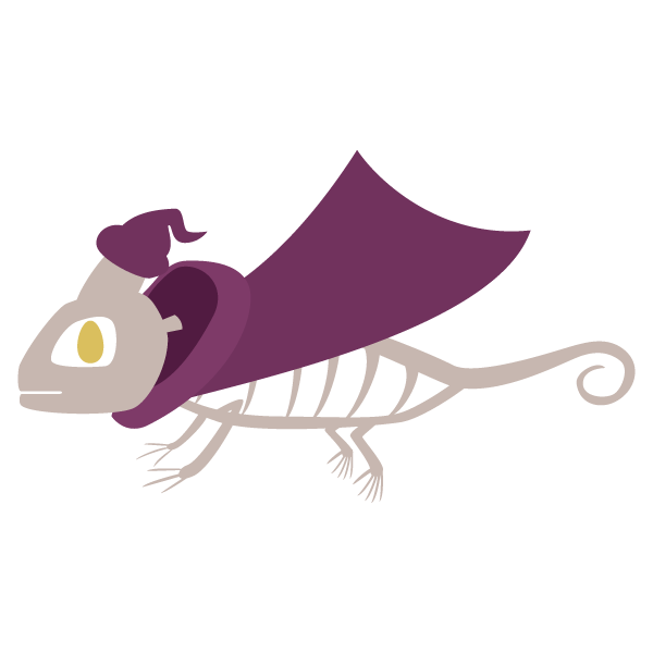 スケルトンカメレオンの魔法使い