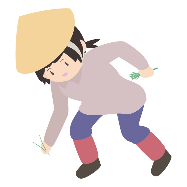 田植えをする女性