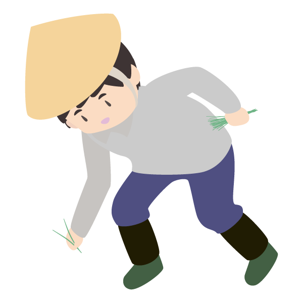 田植えをする男性