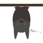 木に留まって寝ているコウモリ