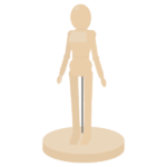 デッサンドール（女型）