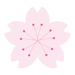 葯のあるシンプルな桜の花2024